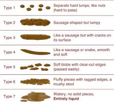 Defecation And Stools In Vegetarians Implications In Health