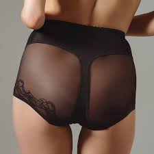 Find your next favorite pair of panties @ lavinia. Semi Sheer High Waist Brief Panty Control Lavinia Lingerie Mia