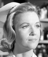 Perry Mason Database