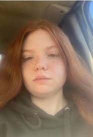 Opinions everyone. I've had a fair amount of experience in training  sport/police and security dogs, my go to breed was always a well bred GSD.  The malis I had access to were