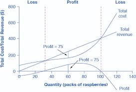 Gross profit represents your total revenue minus the cost of goods sold. How Perfectly Competitive Firms Make Output Decisions Os Microeconomics 2e