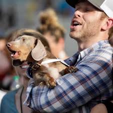 Andouille DeTrinis (@douie_the_doxie) • Instagram photos and videos