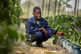 14,640 likes · 3 talking about this · 48 were here. Ministry Of Education Changing Ghana Through Education