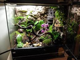 Waterfall Build Thread Slate Pieces Embedded In Gs Foam Frog Terrarium Vivarium Dart Frog Vivarium