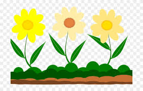 Gambar bunga matahari hitam putih untuk diwarnai. Year 2 Trip To The Garden Museum Gambar Taman Bunga Kartun Clipart Full Size Clipart 3666267 Pinclipart