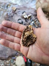 The use of metal detectors to locate gold nuggets is something that's relatively new. West Coast Man Finds 177 Gram Gold Nugget Valued At Up To 25k Rnz News