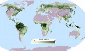 This World Map Shows Where Trees Grow More Specifically We See In 2020 World Map Growing Tree Earth Map