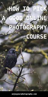 How To Pick A Good Online Photography Course Enjoy Your Photography Online Photography Course Best Online Photography Courses Photography Courses