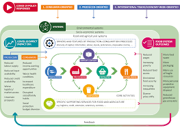 Food items registration and label assessment in the firs, the food products and their information are linked with their respective bar codes. Http Www Fao Org 3 Cb3874en Cb3874en Pdf
