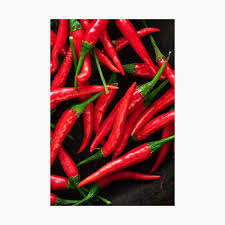 Kurt adler multi chili pepper light set. Memory Foam Food Spice Cooking Theme Ripe Chili Peppers Bath Mat Door Mat Bathroom Decor Rug Spicy Red Peppers Kitchen Rug Home Living Bath Mats Rugs