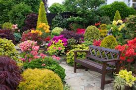 Flowerbeds وحدائق الزهور بيديك 210 صور من التصميم الجميل