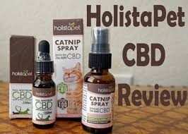 Cbd for dogs can work! Holistapet Cbd Review 2021 Cat Mania
