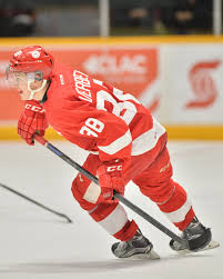 September 12, 2020 at 11:00 am cdt | by brian la rose leave a comment. Hayden Verbeek Player Profile Soo Greyhounds Ohl Writers
