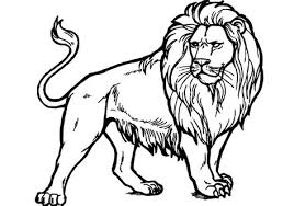 Pop design for hall 2018 plus minus : Lions Colouring Lion Coloring Pages The Sun Flower Pages