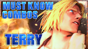 Must Know Terry Combos!
