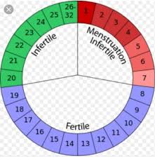 Haid sendiri dimulai di hari pertama ketika dinding rahim meluruh serta keluar bersama dengan darah dari organ vagina. Stasiana Acha Menghitung Masa Subur Wanita Setelah Haid Facebook