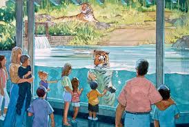 Tiger Trail At The San Diego Zoo Safari Park In 2020 San Diego Zoo Safari Park Zoo Pictures Zoo Architecture