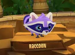 Characters for animal jam itemstrading these gremlins for animal jam items(only the pc vers) link 1link 2link 3link 4 looking seeking animal jam itemsi am seeking animal jam items for sale/trade. Raccoon Animal Jam Wiki Fandom
