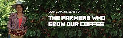 We did not find results for: Sf Bay Coffee Onecup Organic Rainforest Blend 80 Ct Medium Roast Compostable Coffee Pods K Cup Compatible Including Keurig 2 0 Packaging May Vary Amazon Com Grocery Gourmet Food
