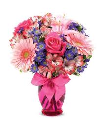 Care for gerbera daisies is quite simple. Gerbera Daisy Celebration At From You Flowers