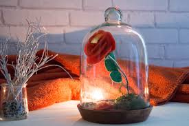 Ce qui en fait le meilleur parti. Diy La Rose De La Belle Et La Bete Au Fil Du Thym