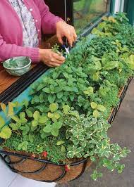 9 Herb Garden Ideas How To Plant Window Herb Garden Herb Garden Window Window Box Herb Garden