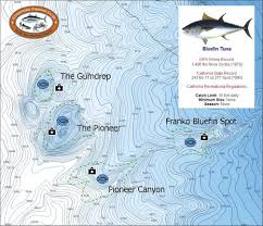 C Map Fishing Charts All But The Bait Panbo