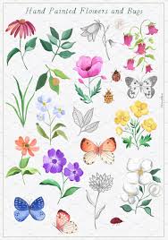 Wildflowers Flower Drawing Flower Art Roses Drawing