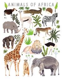 African Animals Print By Smalladventure On Etsy Animaux Africains Art Animalier Illustrations Animalieres