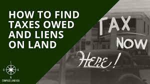 How To Check For Property Back Taxes And Liens For Free In 2020 | Compass  Land Usa