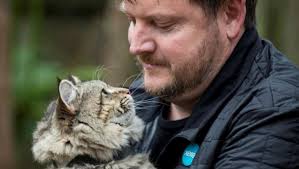 Expensive cat breeds in record demand thanks to Covid-19