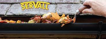 Orkin is the termite control expert. Servall Pest Control Home Facebook