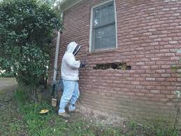 Check spelling or type a new query. This House Needed Help With A Beehive What Was Found Went Viral