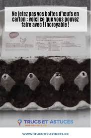 Ne Jetez Pas Vos Boites D œufs En Carton Voici Ce Que Vous Pouvez Faire Avec Boite A Oeuf Boite Carton