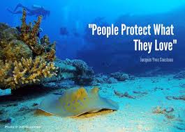 We did not find results for: Cousteau Divers On Twitter To Know To Love To Protect Jacques Yves Cousteau Cousteau Quote Cousteaudivers Ocean Sea Conservation