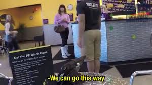 Do you like this video? Jack Saint Now In Progress On Twitter Steven Crowder Enters A Gym Disguised As A Trans Woman To Expose How Trans People Don T Fit In With Normal People Accidentally Demonstrates That Almost