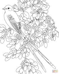 Oklahoma Scissor Tailed Flycatcher And Mistletoe Flower Coloring Page Bird Coloring Pages Flower Coloring Pages Coloring Pages