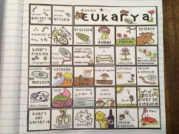 Science Interactive Notebook Six Kingdoms Of Life Puzzle Biology Science Biology Biology Lessons Science Lessons