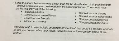 Solved 13 Use The Space Below To Create A Flow Chart For