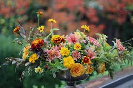 Maybe you would like to learn more about one of these? Slow Flowers 35 Thanksgiving Centerpieces And Tabletop Decor Ideas Eclectic Dining Room Portland By Slow Flowers Llc Houzz