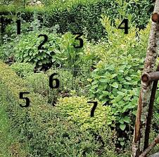 Comment Installer Les Plantes Aromatiques Jardin D Herbes Jardin Aromatique Culture D Herbes