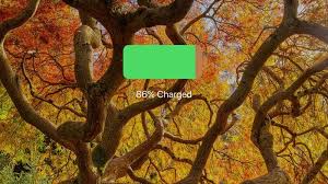 How To Fix An Ipad That Won T Charge 8 Troubleshooting Tips Macworld Uk