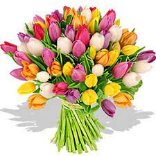 Modello per biglietti di compleanno, san valentino sfondo carta primavera, inviti banner. Bouquet Tulipani Colorati Amicizia Auguri Buoncompleanno Bouquet Di Tulipani Tulipani Fiori