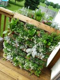 Helaas Pagina Niet Gevonden Vertikaler Garten Diy Diy Gartenprojekte Vertikaler Garten