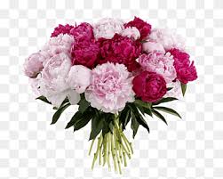 Check out our flower roses peony selection for the very best in unique or custom, handmade pieces from our shops. Peony Bouquet Png Images Pngwing