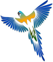 King Of Bloggers Live Bloggers Vogel Kunst Vogel Illustration Vogel Grafik