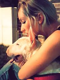 Avec des fiches détaillées retrouvez tous les contacts sur le site internet de l'association alerte à malibull Alerte A Malibull Sauvetage Et Placement English Bull Terrier