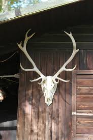 Antler log cabins vacation rentals are 10 miles west of downtown nashville indiana, and are 10 minutes east from indiana university in bloomington indiana. Antler Deer Antler Log Cabin Woodhouse Pikist