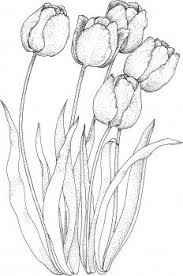 We did not find results for: 140 Images To Color Floral Butterflies Ideas Coloring Pages Colouring Pages Coloring Books