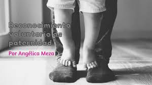 Lo Que Debes Saber Sobre El Reconocimiento Voluntario De Paternidad Angelica Meza